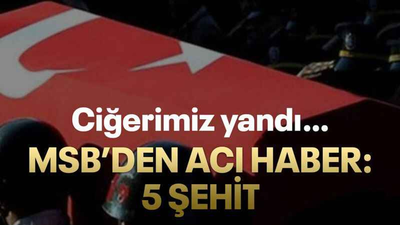 MSB’den acı haber: 5 şehit